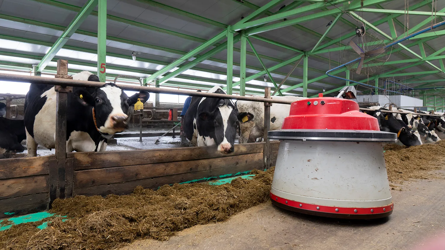 Photo - Hardworking and Caring: Russia Rolls Out Feed-Pushing Robot for Cattle Farms