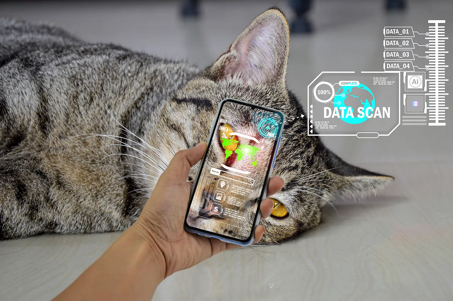 Photo - A New Digital Platform for Pet Owners Launched in Moscow Region