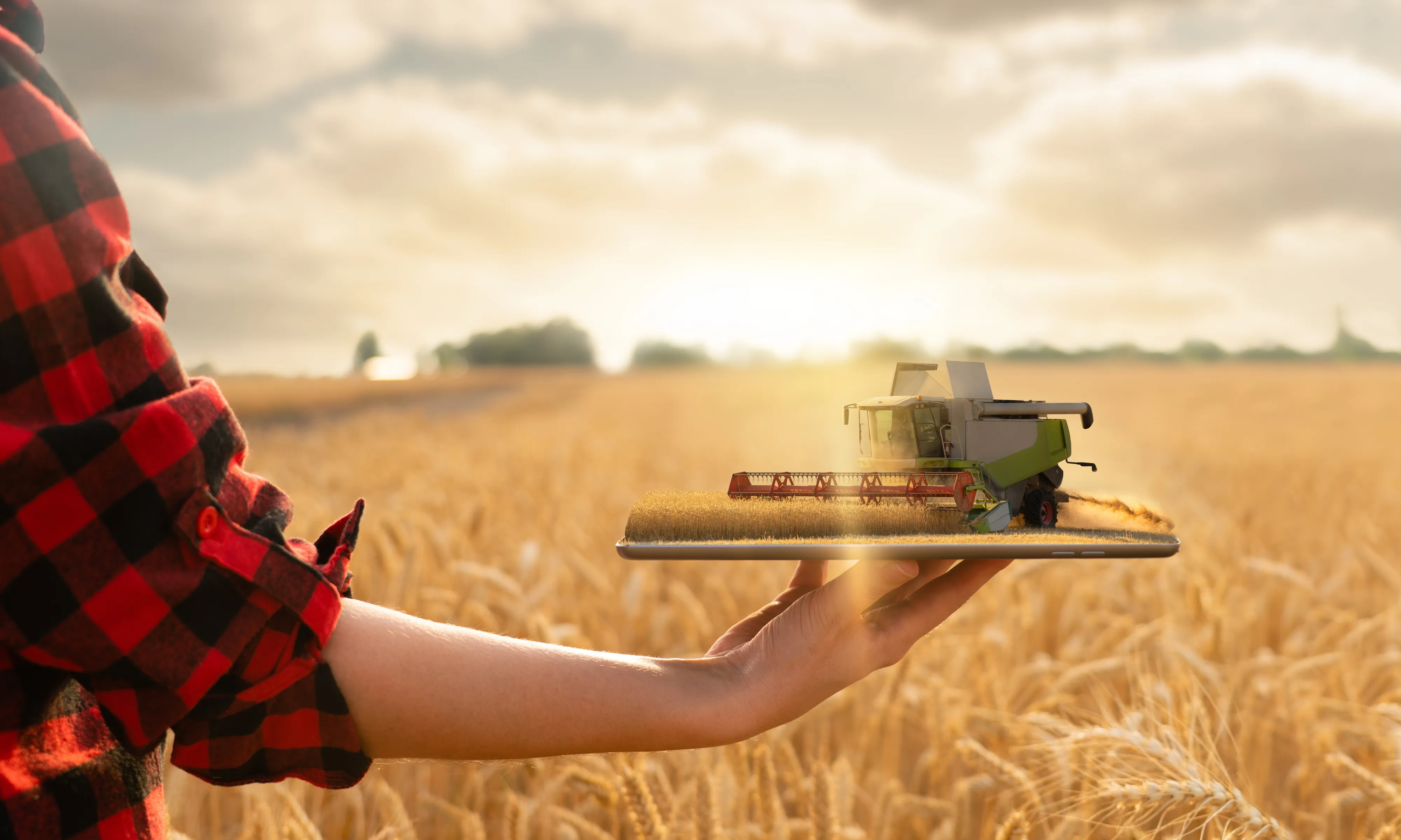 High Tech Is Transforming Russian Agriculture