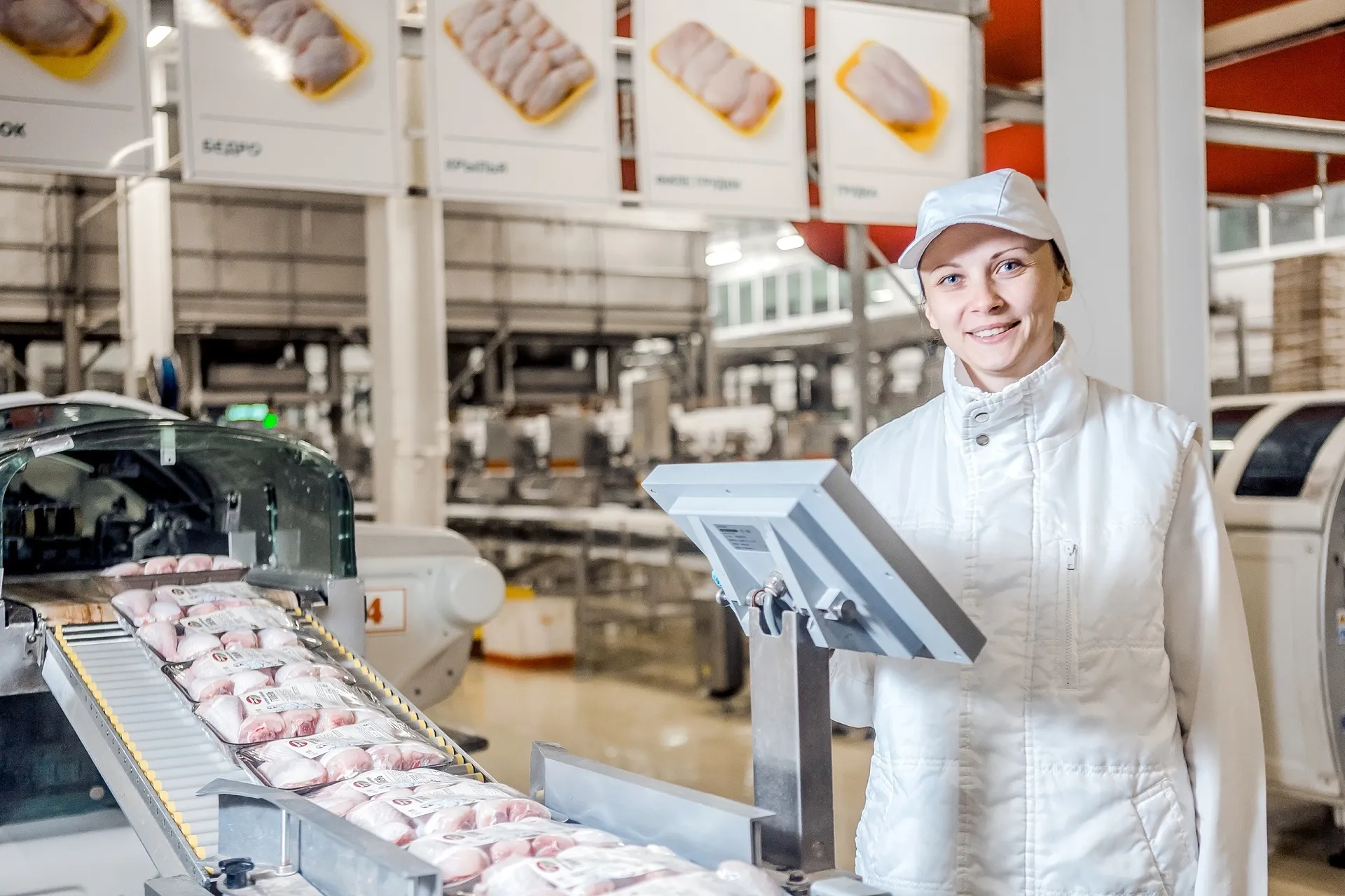 Machine Vision Robot Goes to Work at Mordovia Poultry Plant