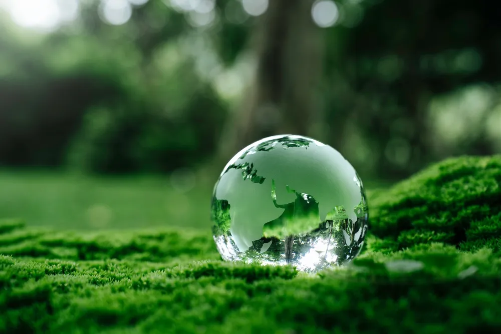 Russia Develops AI-Powered Digital Tools for Environmental Protection