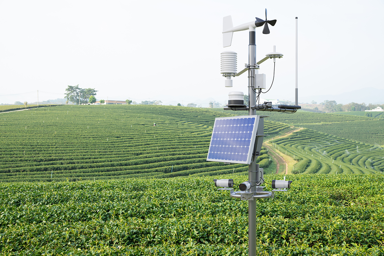 Photo - Russian Digital Technologies Help the Global South Protect the Environment