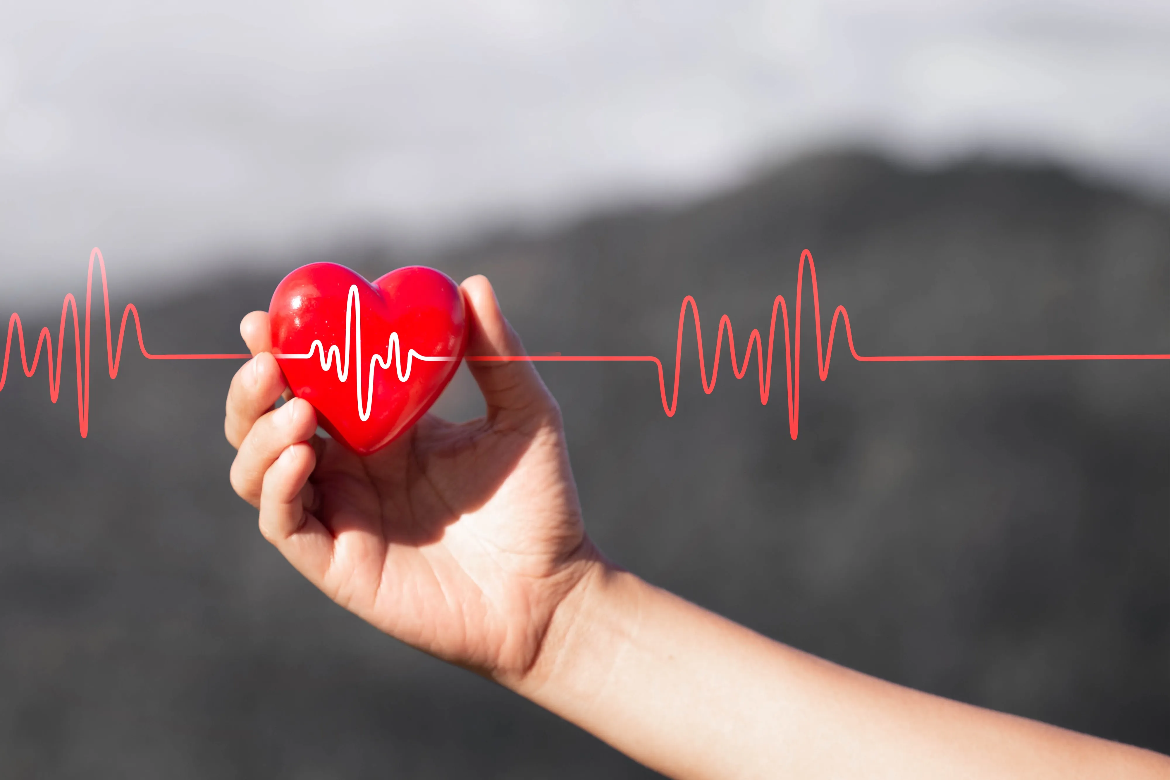 Neural Network Developed in Russia Can Detect Heart Arrhythmia in Real Time
