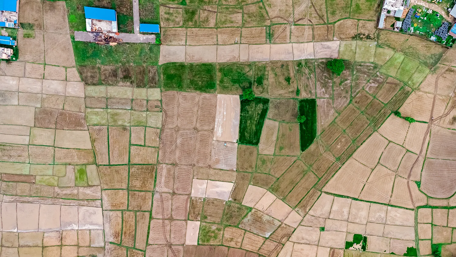 Photo - Harvest Satellites: BRICS Farmers to Gain Access to Space-Based Agricultural Analytics
