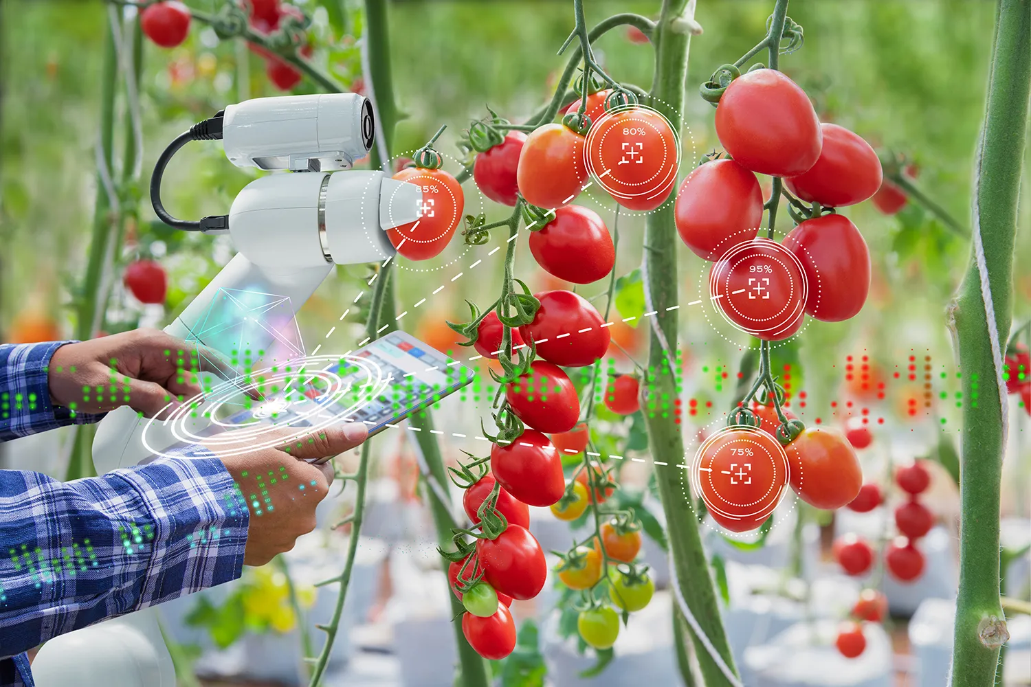Photo - “The Tireless Worker”: Russia’s New Agrorobot to Free Farmers from Repetitive Tasks
