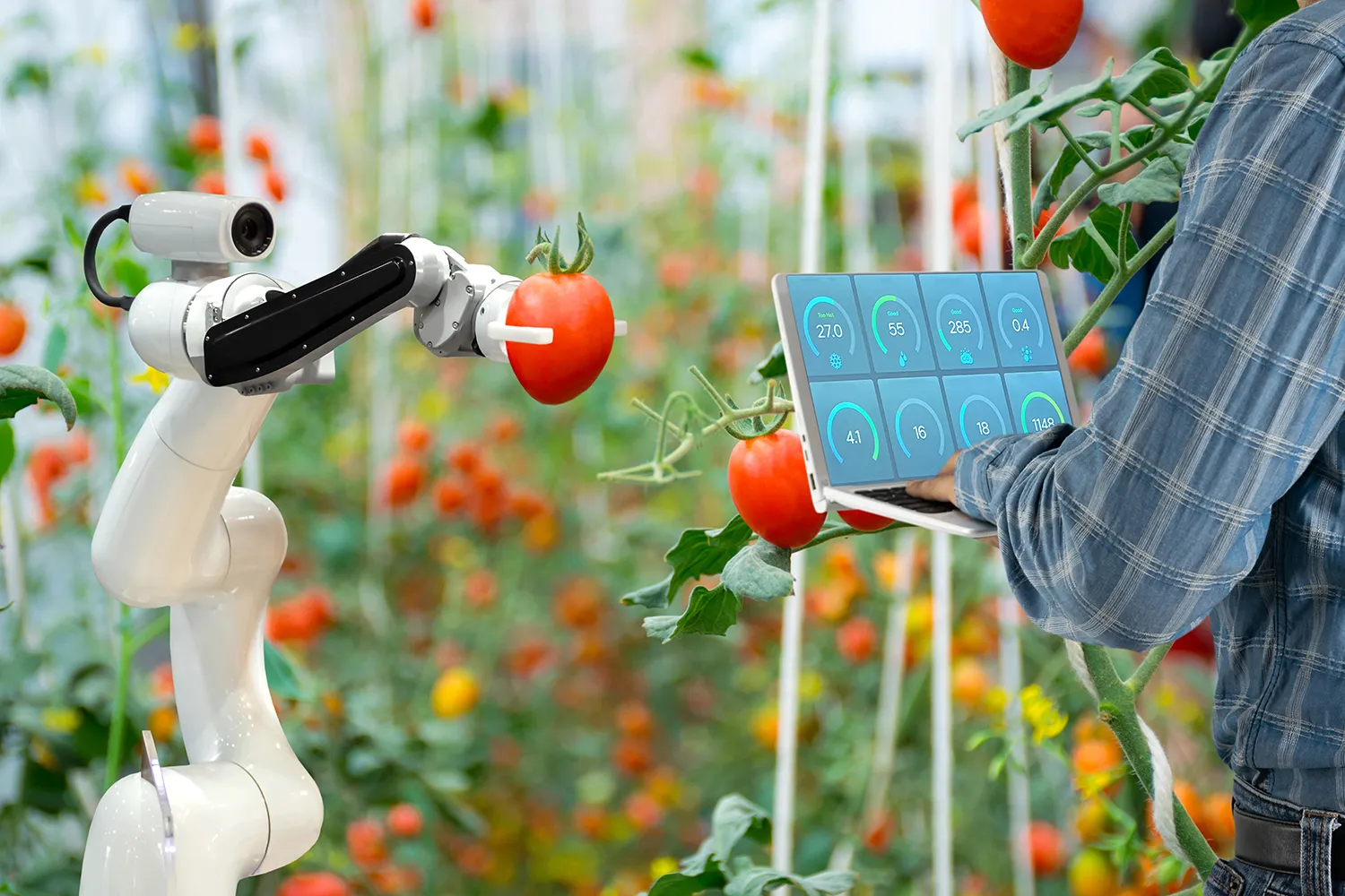 Photo - Smart Money: AI Boosts Profitability in Russian Agriculture