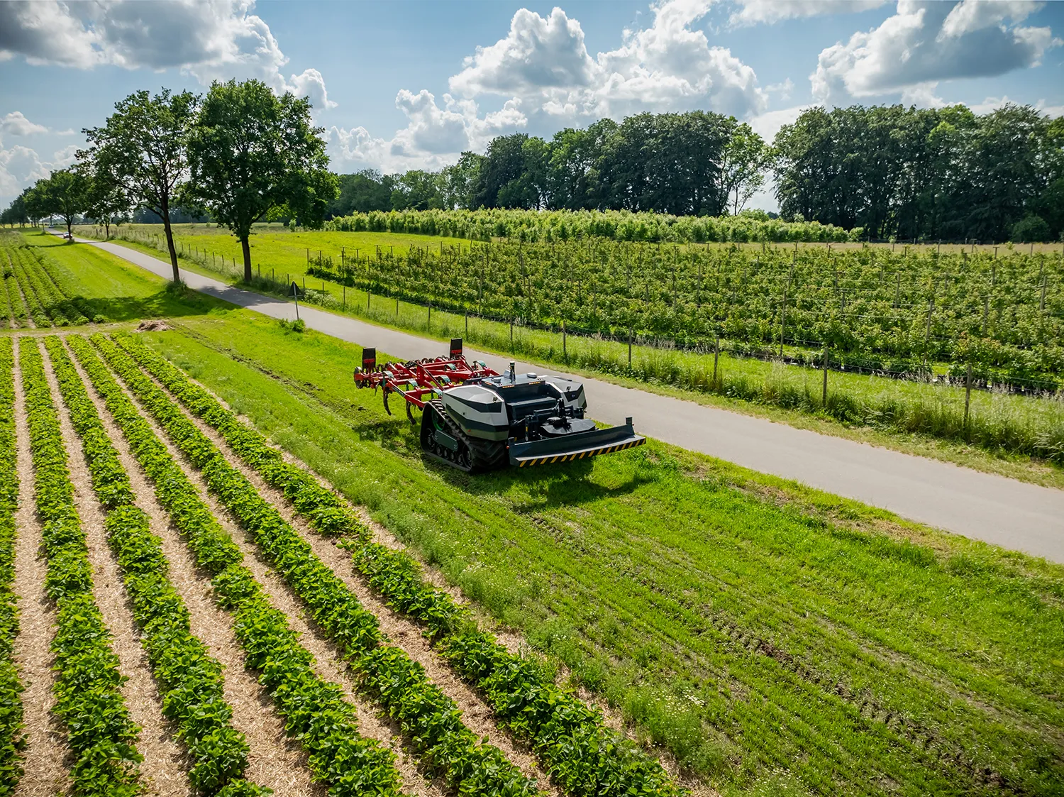 Photo - Precision Planting, Swift Harvesting: AI Robots Take Over Russia’s Agricultural Frontlines