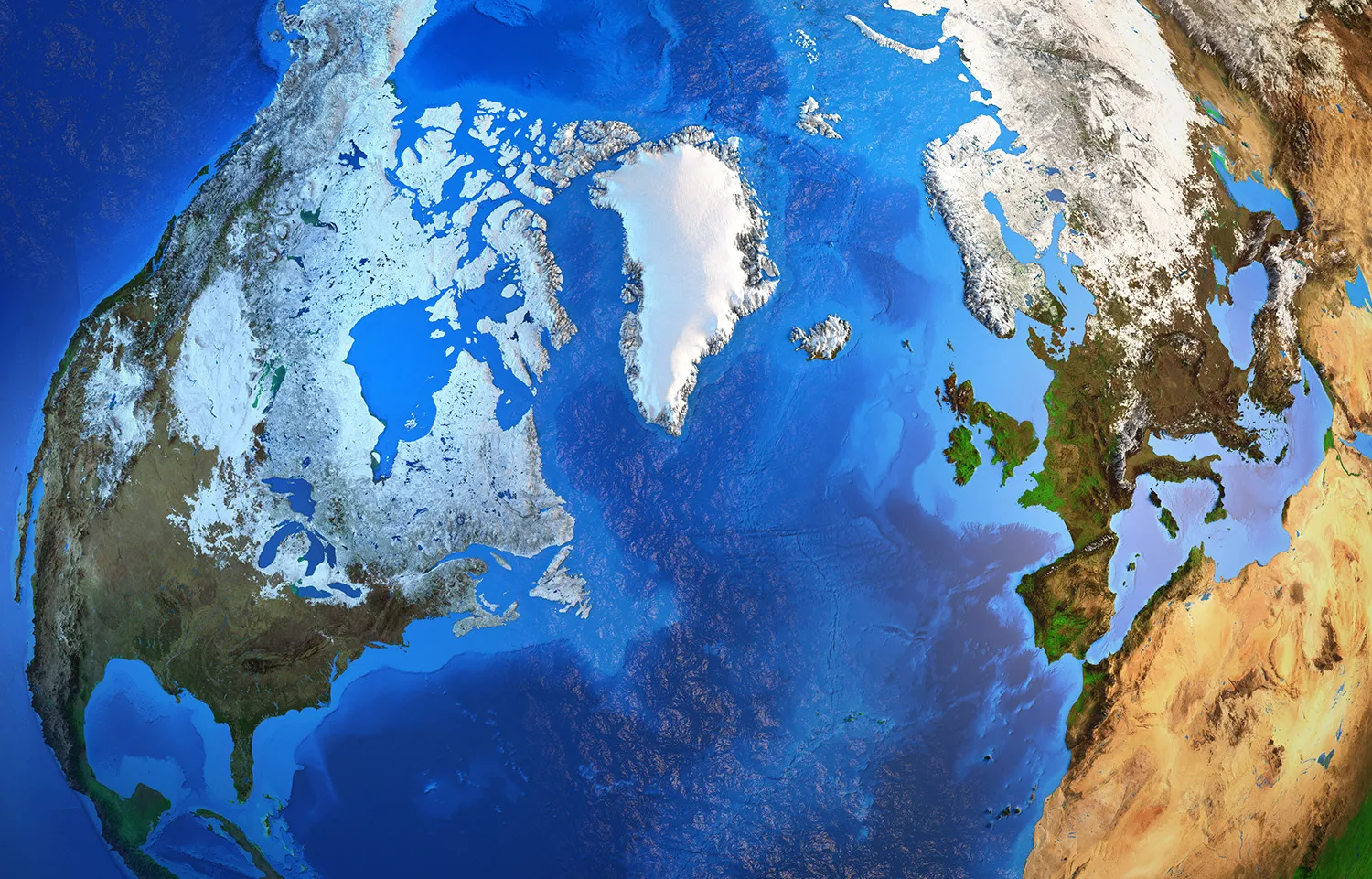Photo - Tamura for the Taimyr: AI is Helping Russia Track the Polar Bears of the Kara Sea