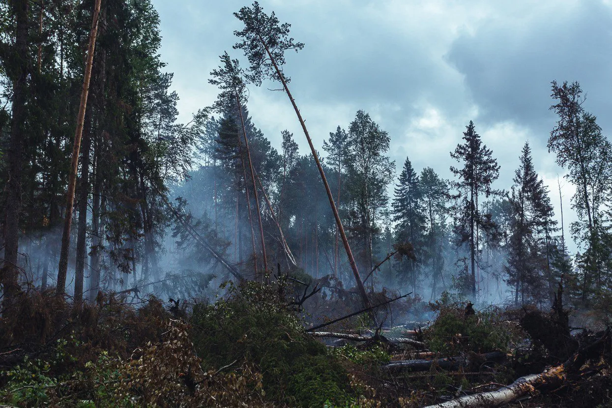 Urals Region Begins Tracking Lightning to Prevent Wildfires