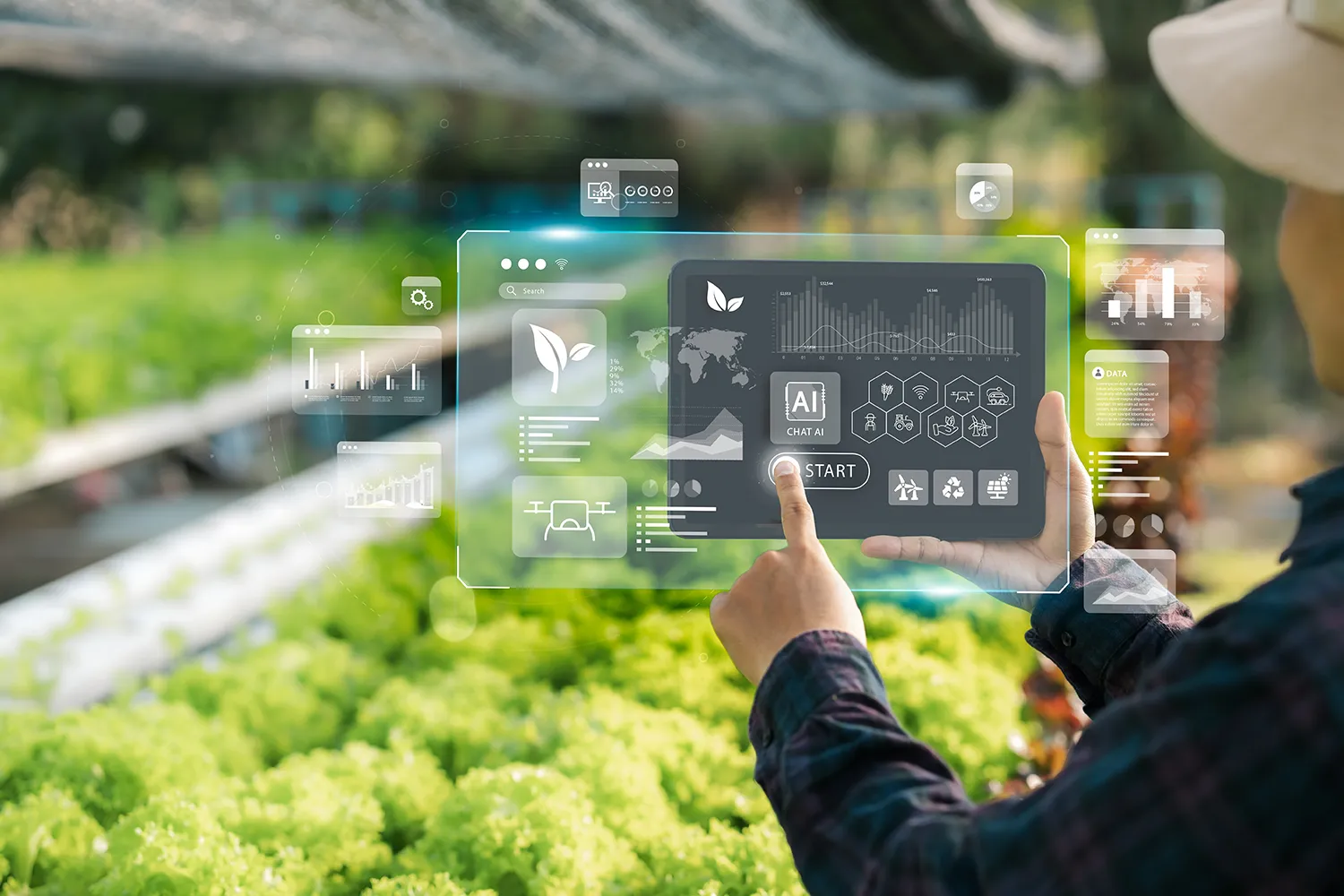 Photo - Closer to the Land: Rostelecom Pushes Digital Transformation in Russian Agriculture