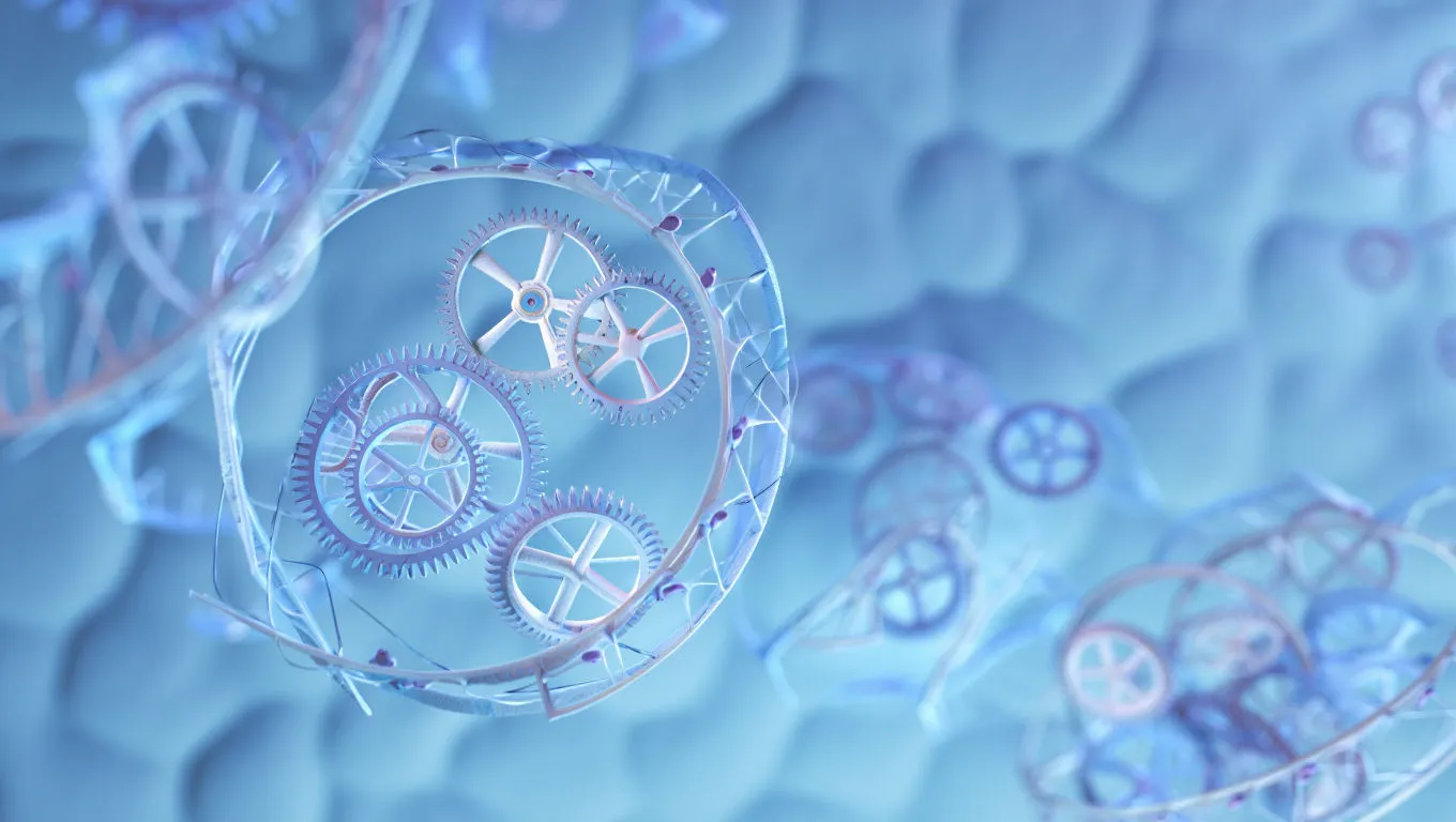 Photo - Blue Mondays Are No Longer the Norm: Russian Scientists Create a Digital Chronobiotics Database