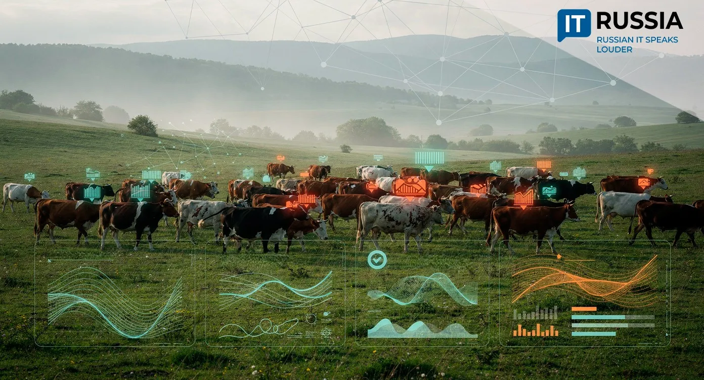 Digital Platform Brings Livestock Out of the Shadows