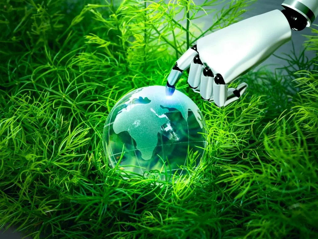 Photo - Seeds of the Future: Russian-Chinese Cooperation Is Transforming Forestry