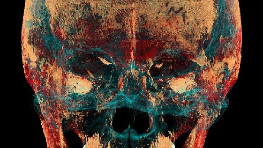 Российские учёные сделали уникальные выводы с помощью компьютерной «машины времени»