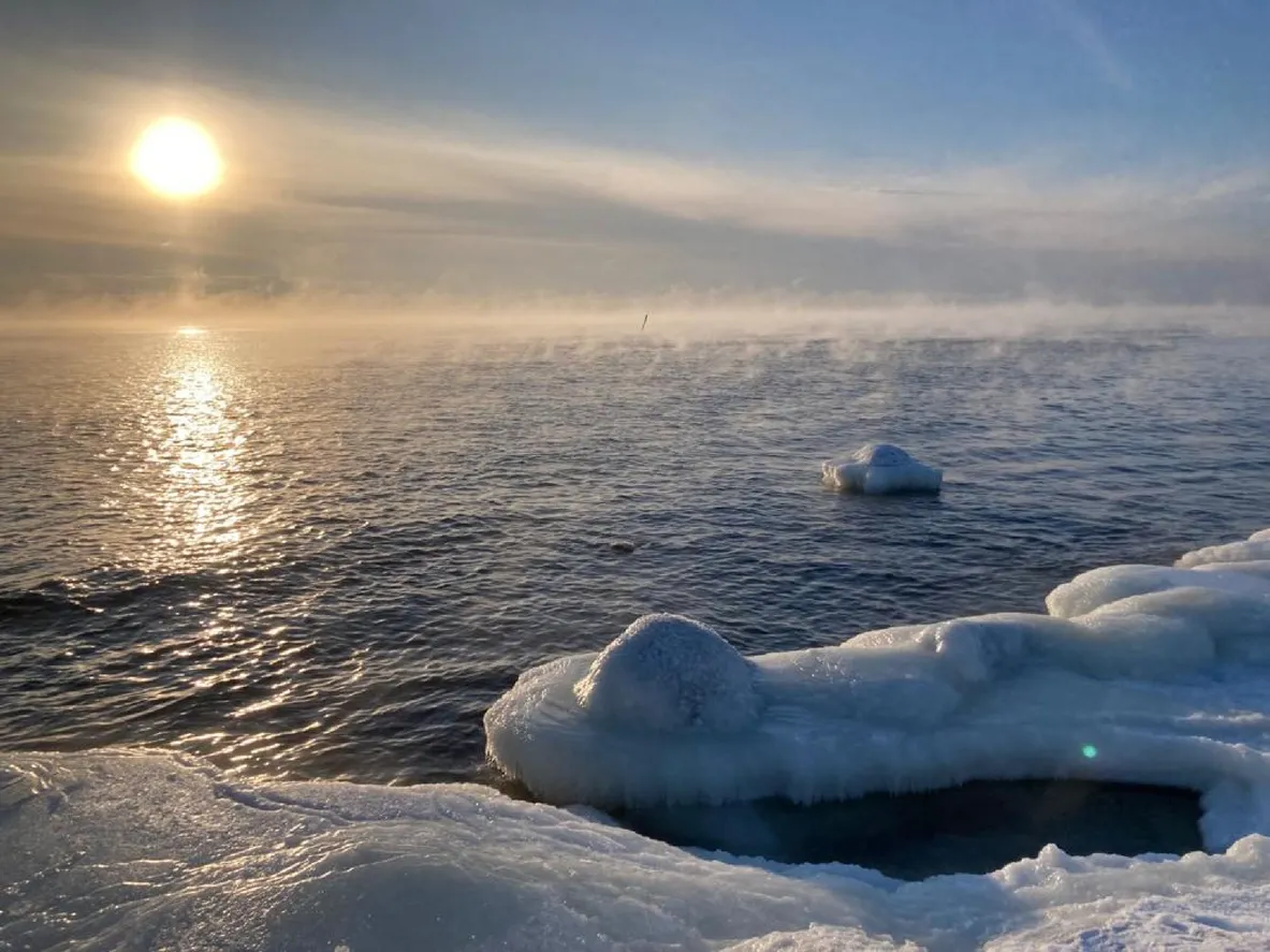 Underwater Robot for Arctic Research Emerges in Russia
