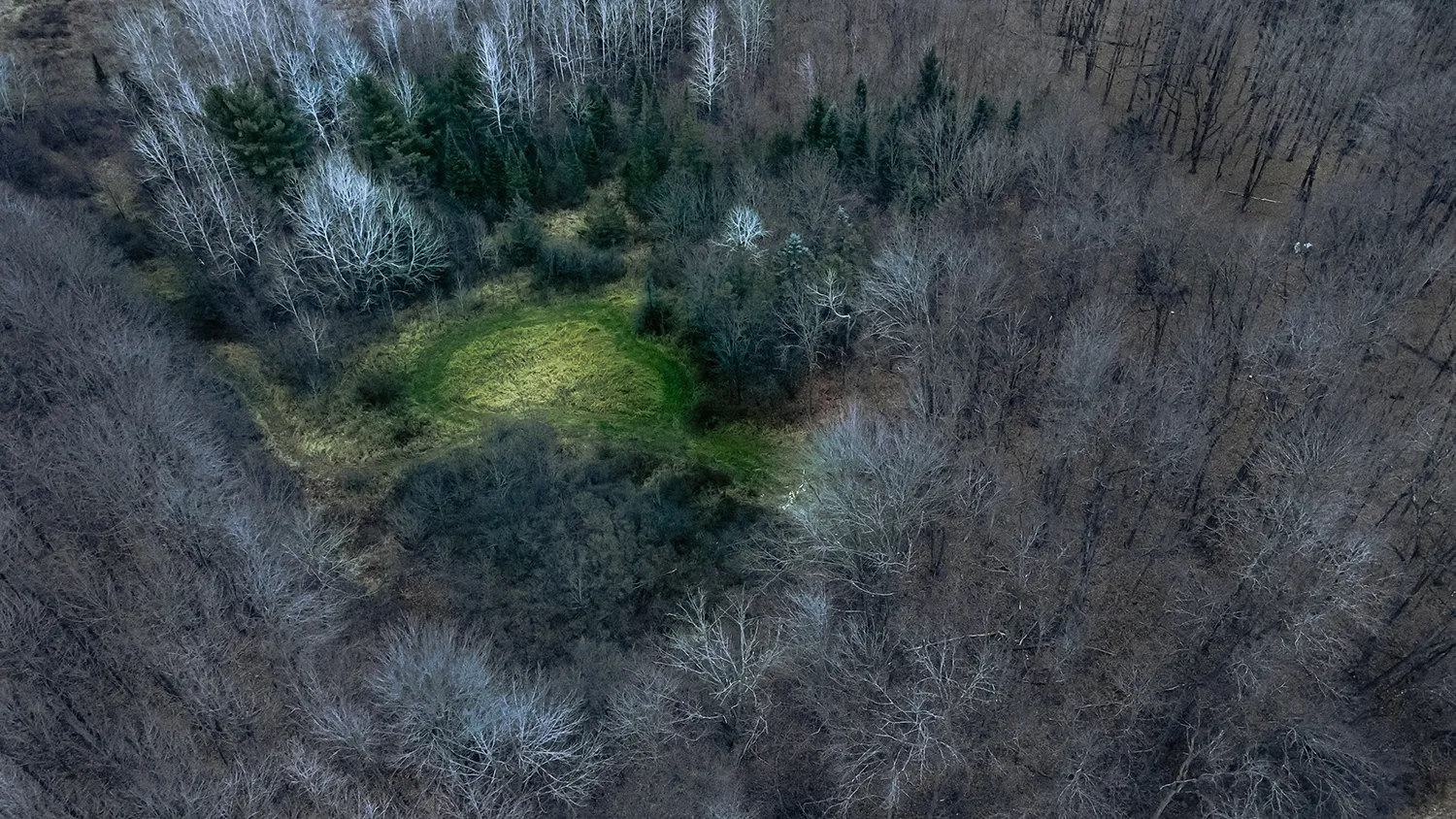 Photo - Helping Africa Preserve Its Forests: Russian IT System Expands Global Environmental Reach