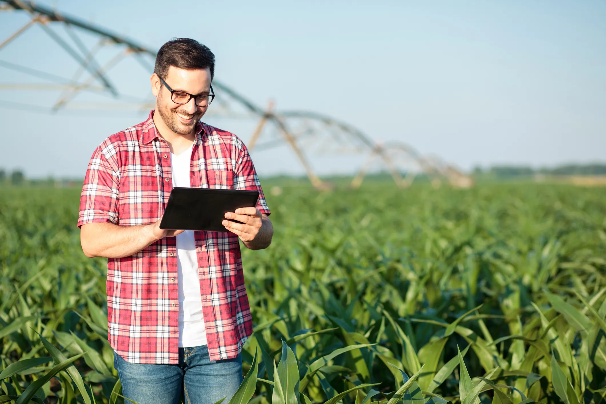 Russian Banks Roll Out Digital Tools for First-Time Farmers