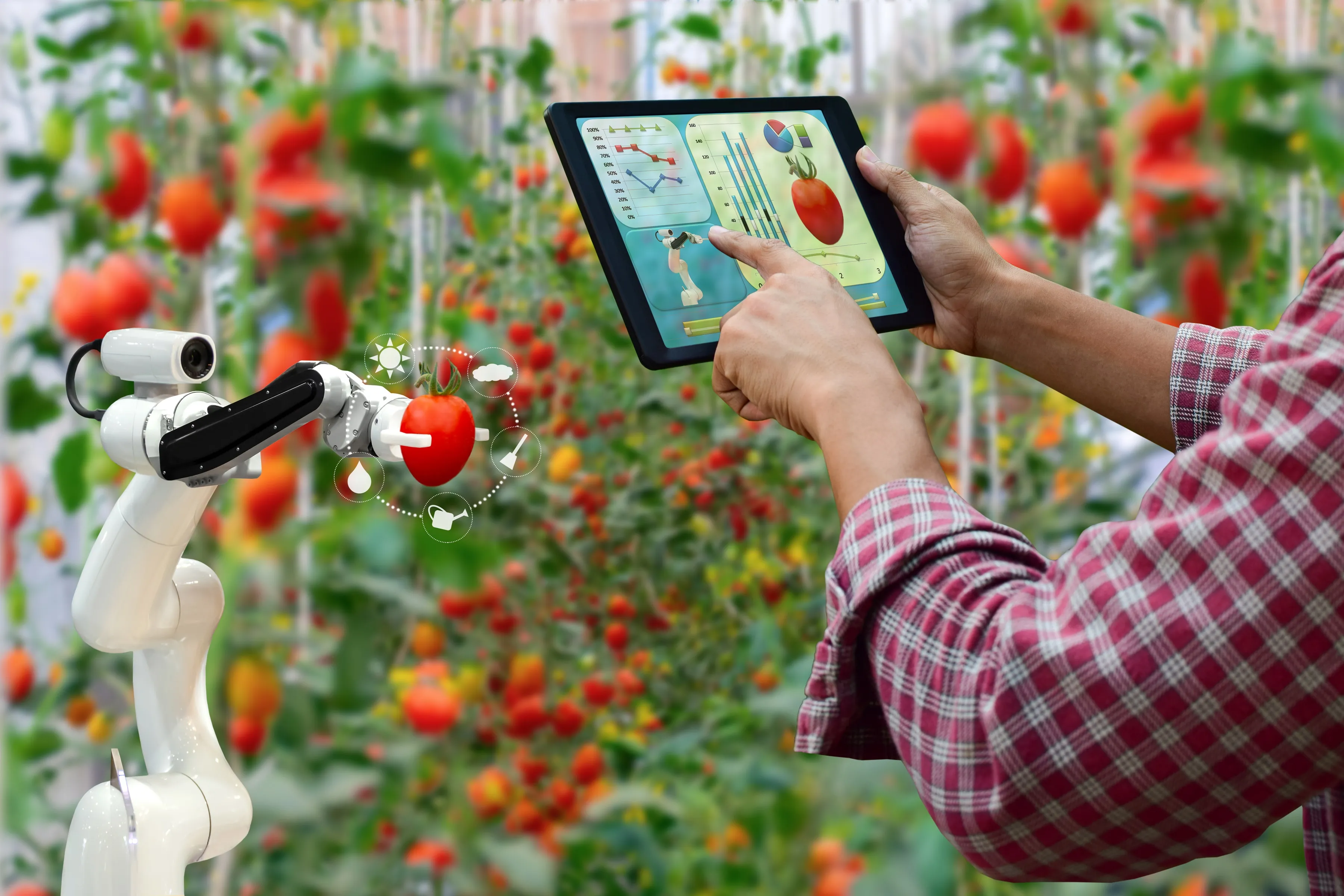 Russian Students Develop AI-Powered Greenhouse Robot for 24/7 Plant Health Monitoring