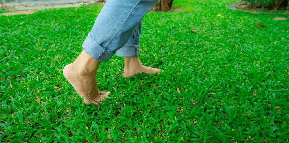 В России ИИ научили ставить диагноз по походке