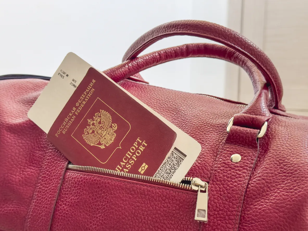 Digital Passport to Appear on Russia’s State Services App