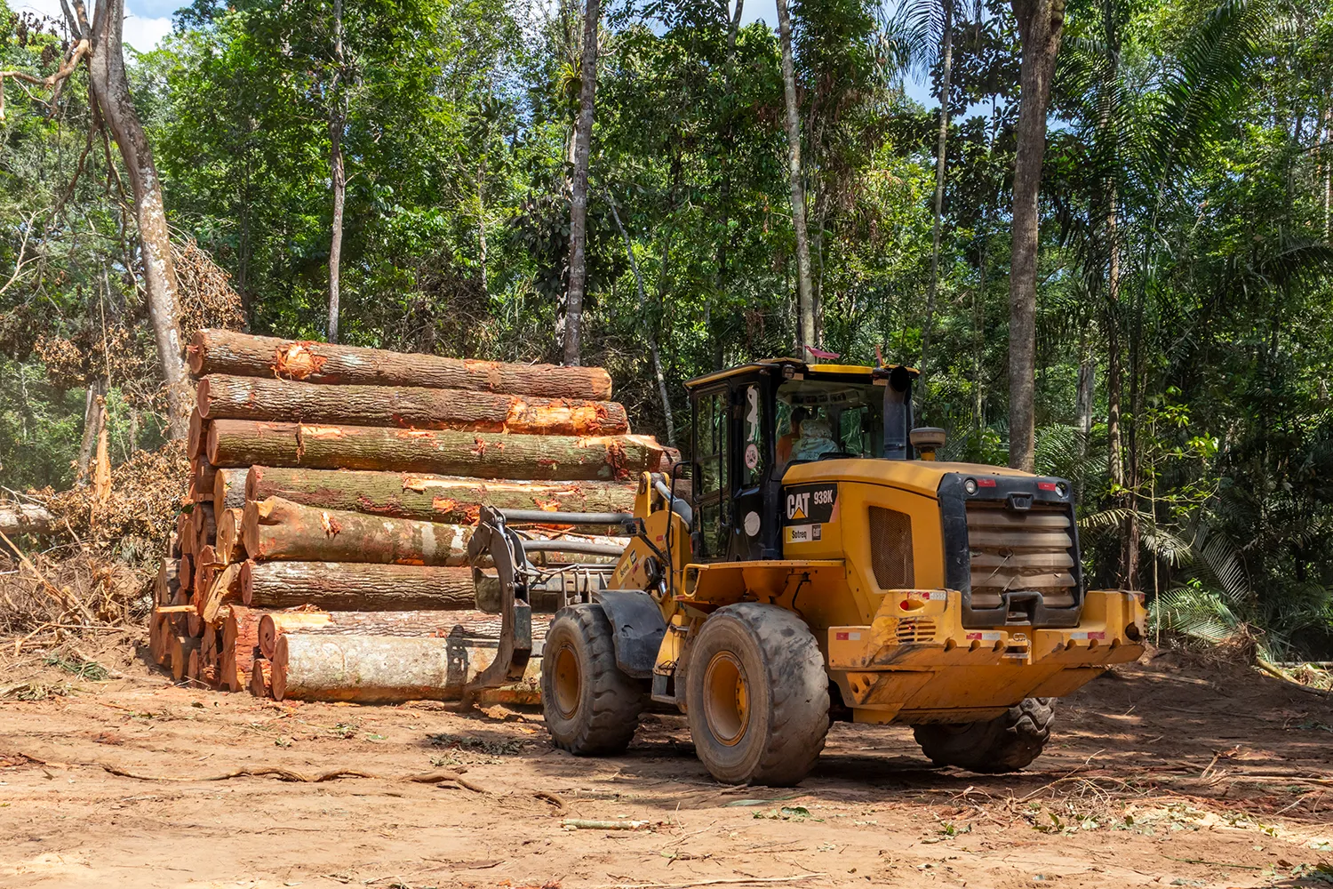 Photo - 'ERA-GLONASS' to Save Trees: How Digitalization Protects Russia’s Forests