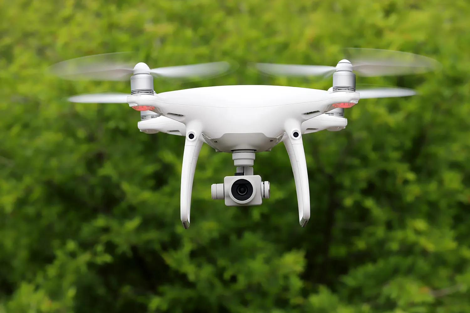 Photo - Not Just a Forest: AI Powers Smarter Forestry in Perm, Russia