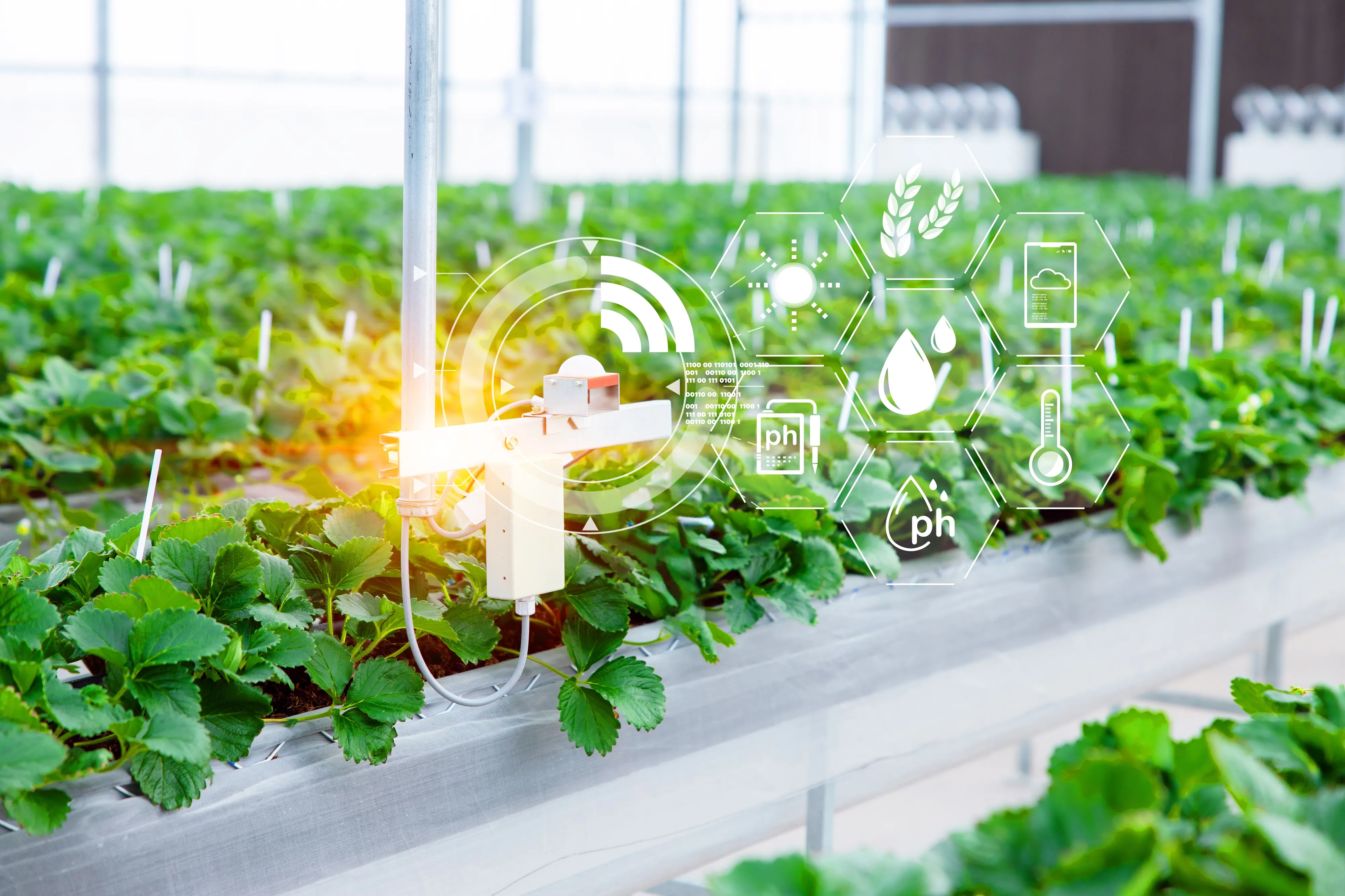 Russian Teens Build AI-Powered Smart Garden for Home and Industry