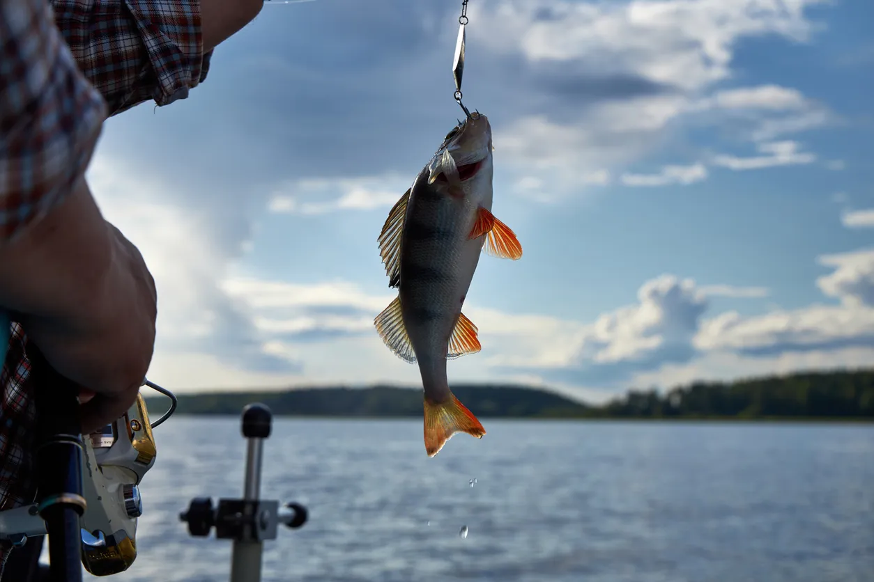 Digitalization Transforms Recreational Fishing in Russia