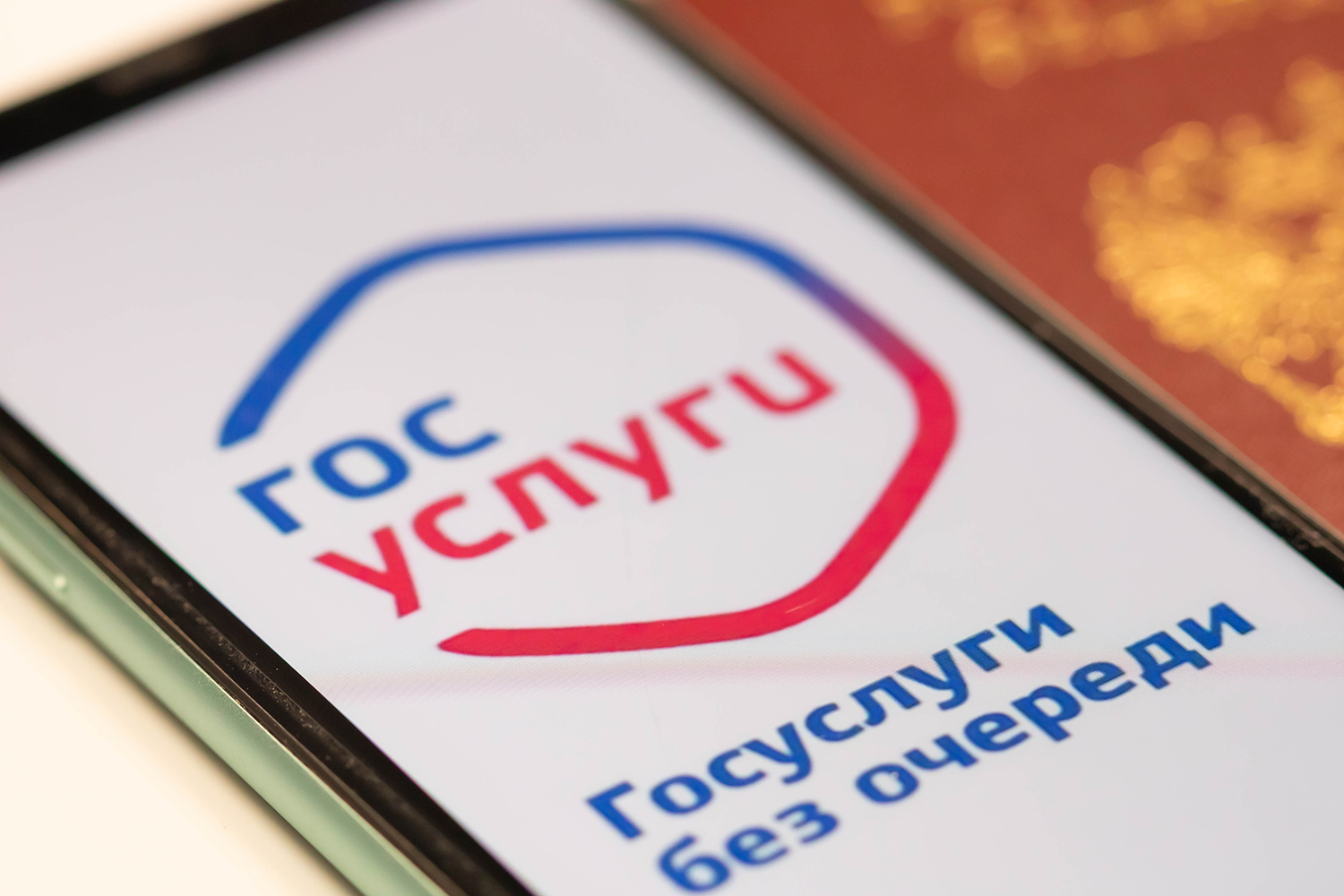 Russian Digital Public Services: A Model for Export