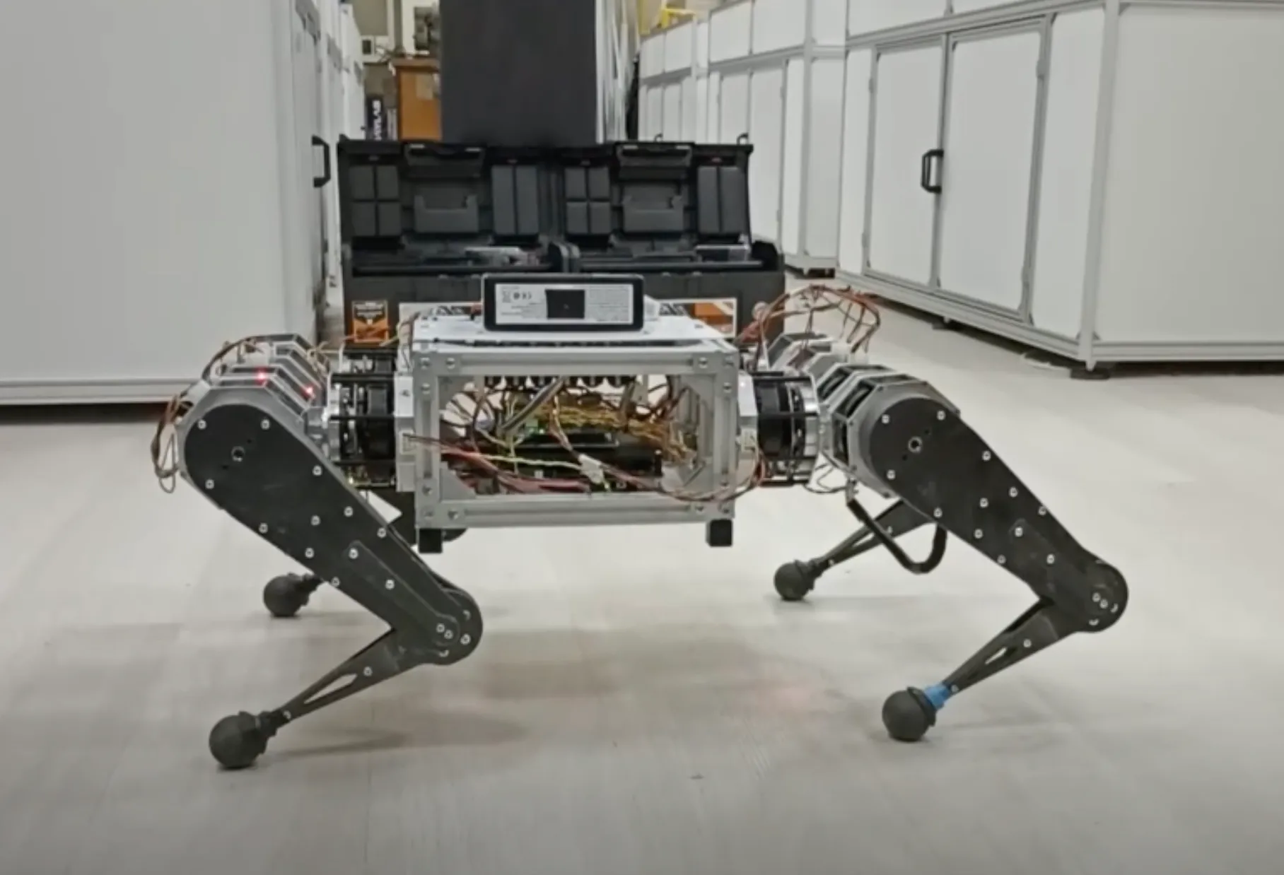 Russian Students Teach Robotic Dog to Climb Stairs