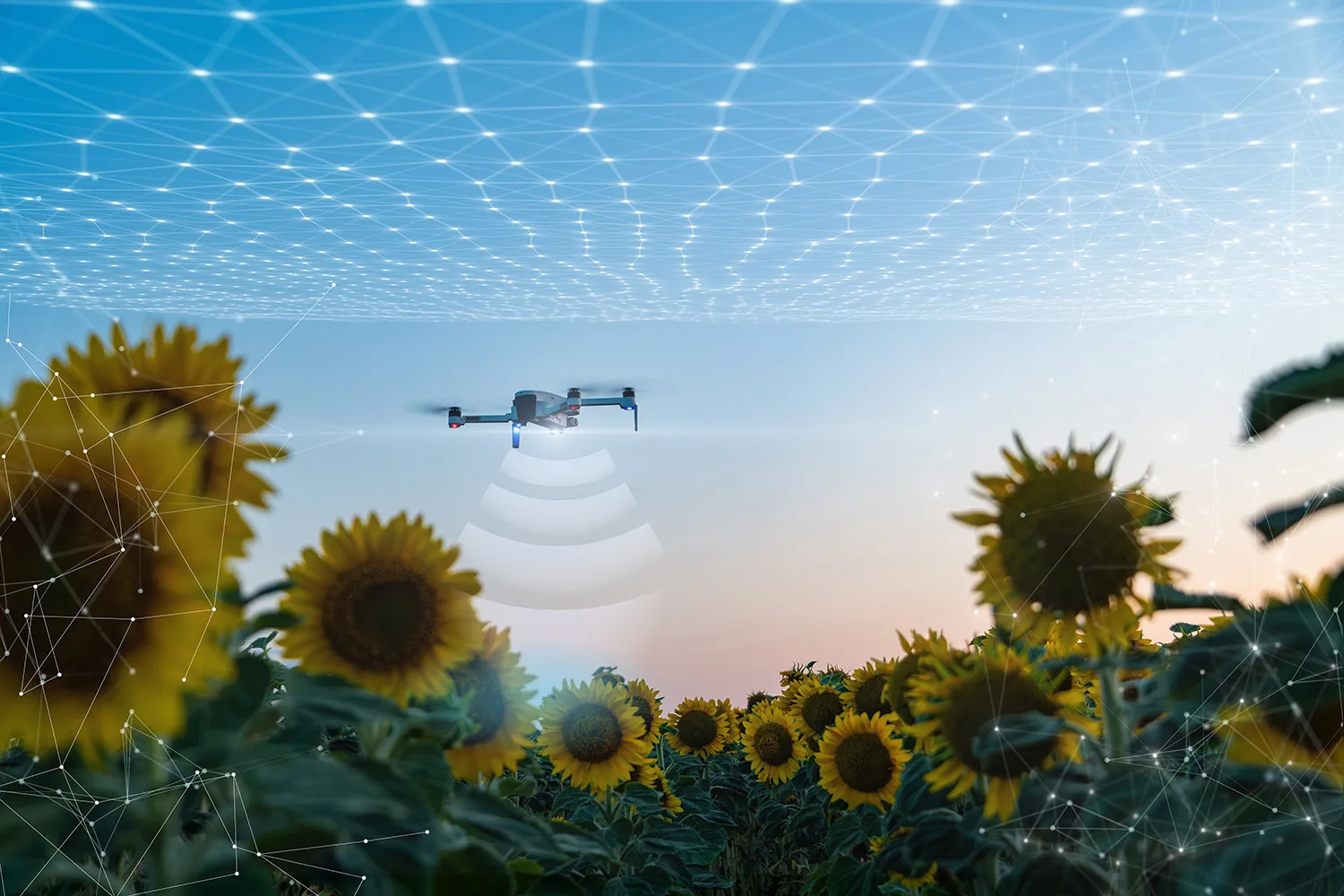 Photo - Russia to Deploy Dome Connectivity for Drones