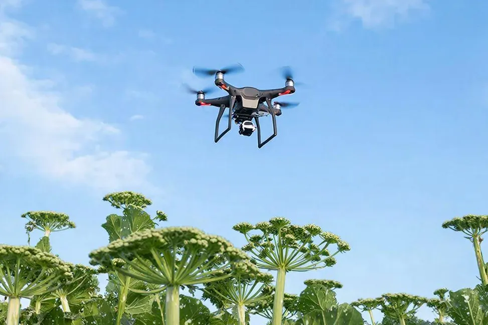 Drones With AI to Identify Hogweed and Weeds on Russian Allotments