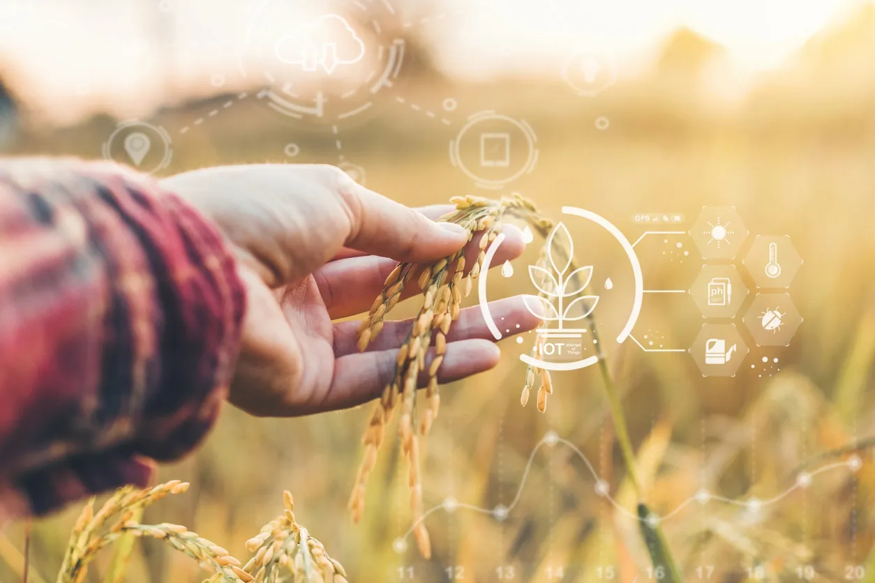Russian Students Build AI Apps to Predict Crop Yields and Test Seed Quality