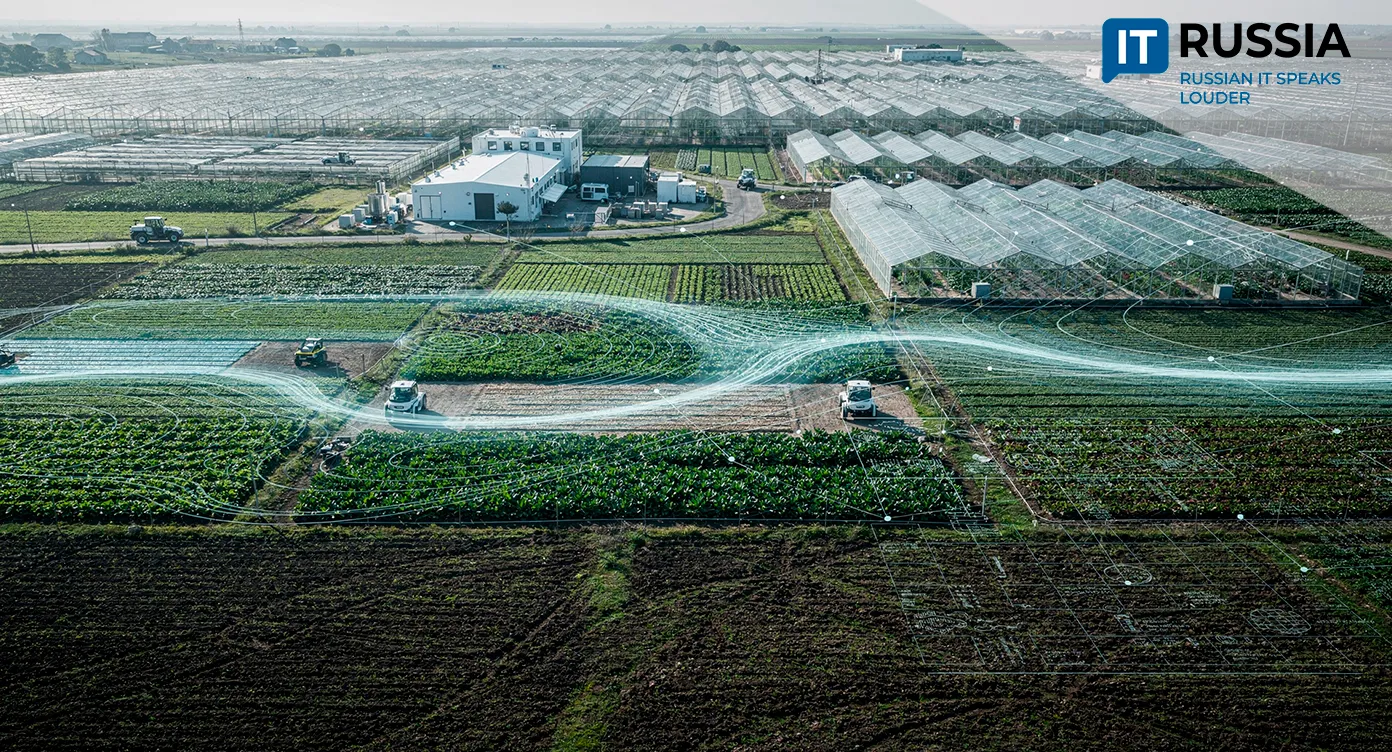 Corn Breeders Are Transforming Business Processes