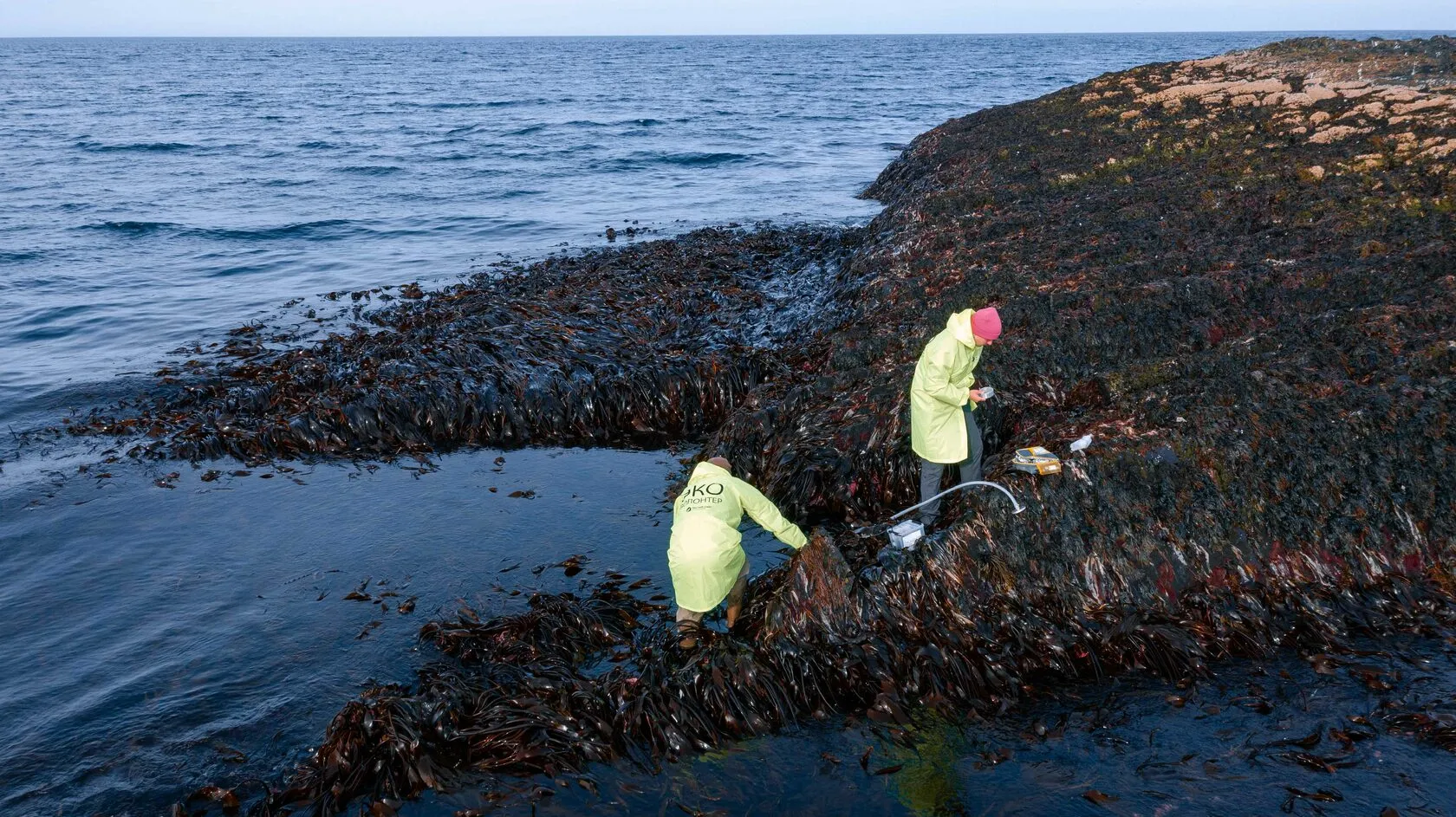 Scientists Create World’s Largest Database of Arctic Microplastic Spectra