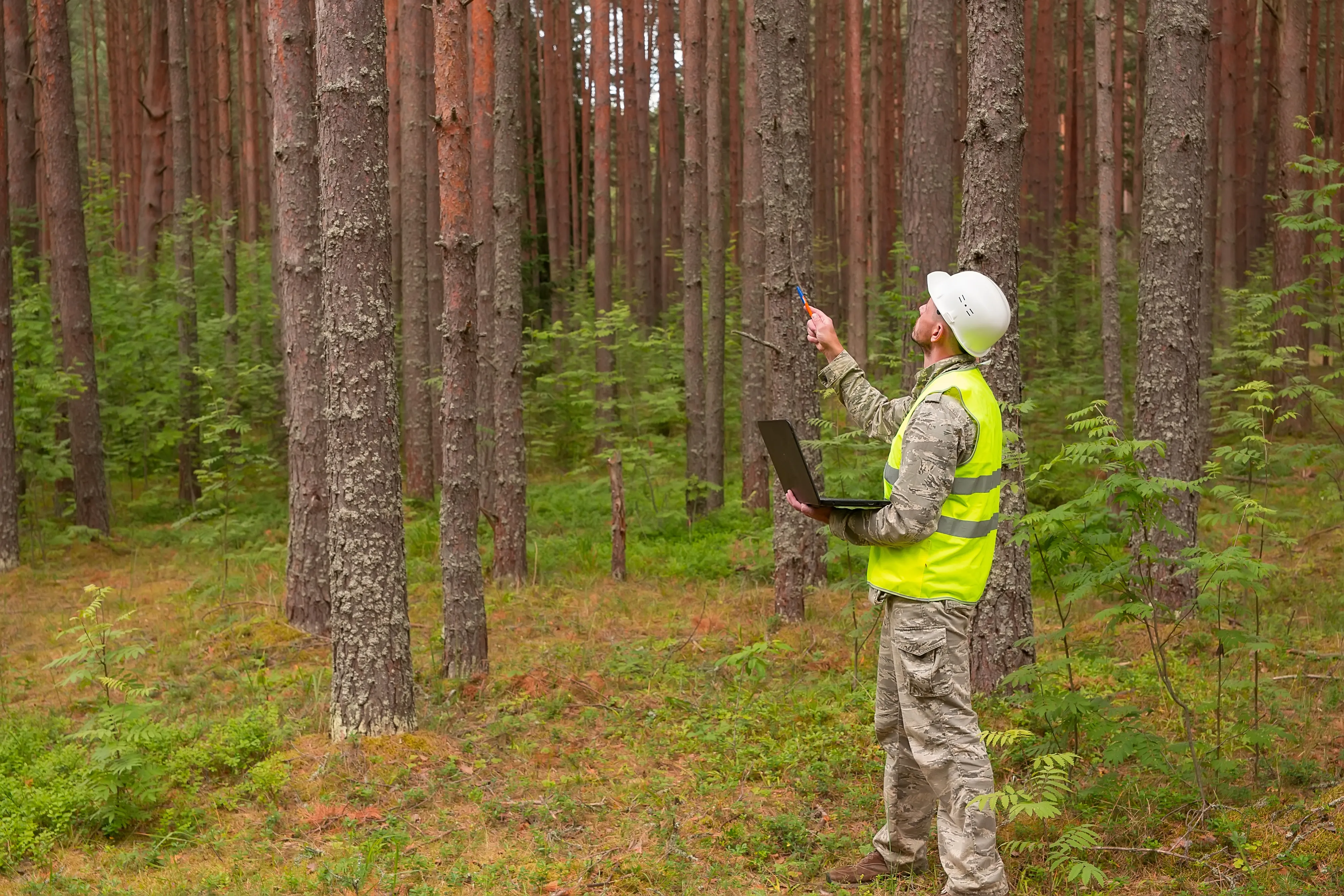 Russian Wood Industry Patents AI-Based Quality Control System