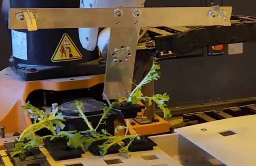 Russian Student Builds Arctic Farming Robot