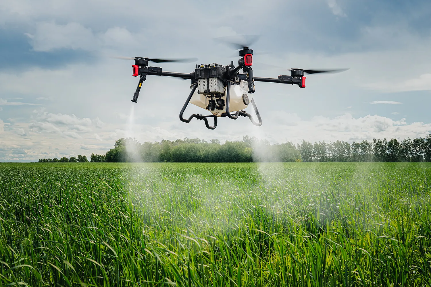 Photo - Freedom from Routine: How AI Is Transforming Russian Agriculture