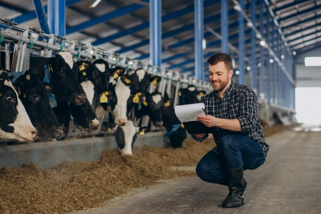 Russian Cows With "Neuro-Horns" Produce More Milk
