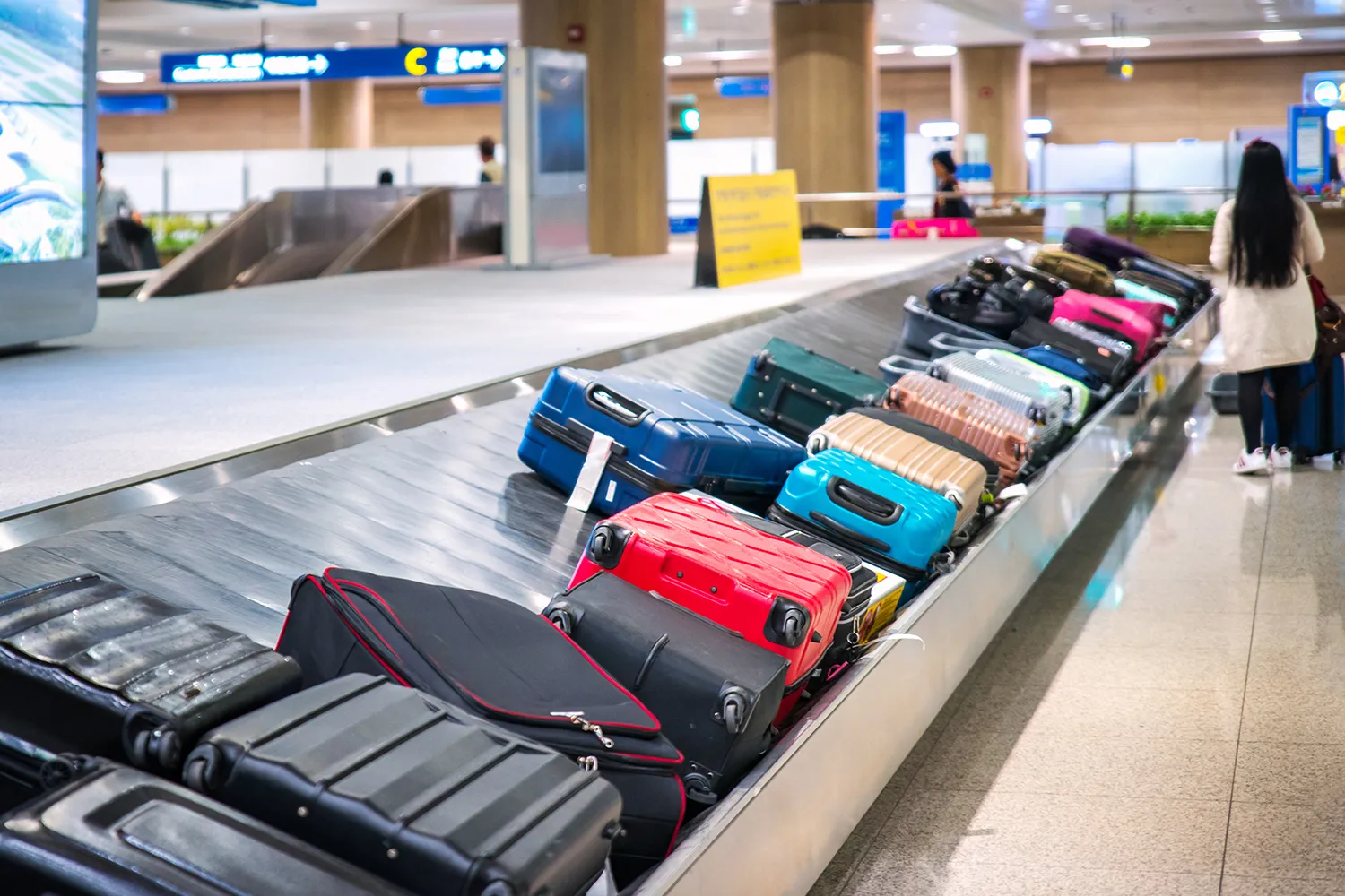 Photo - AI Tackles Lost Luggage