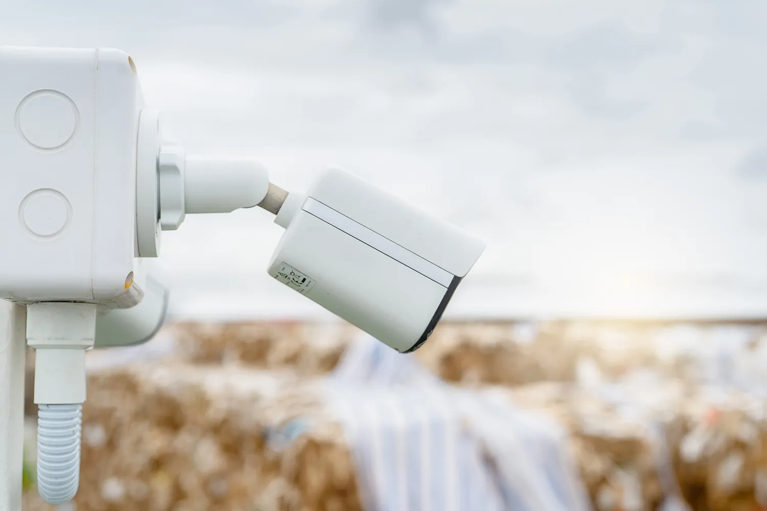 Photo - Russian AI to Monitor Trash: How Smart Tech Is Cleaning Up Cities