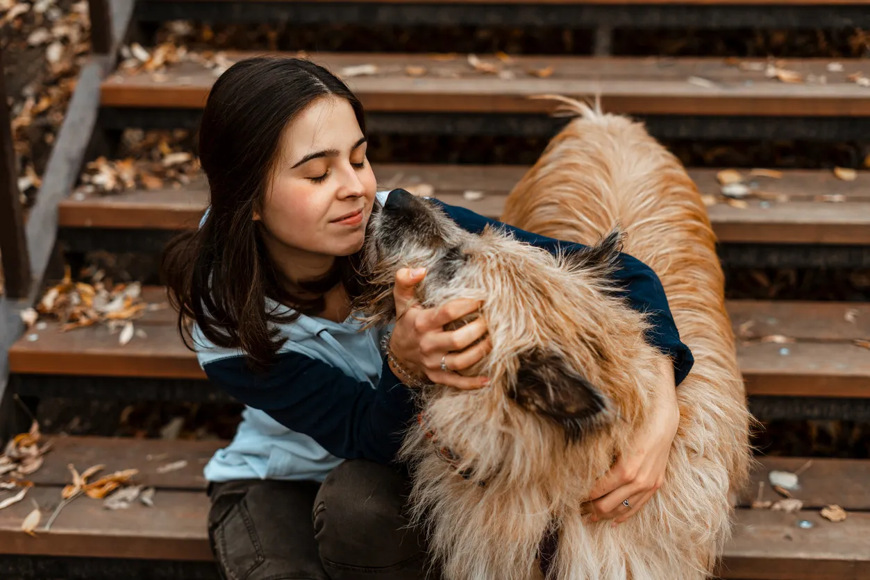 Russia Pilots ‘My Pet’ App to Give Stray Animals a Home