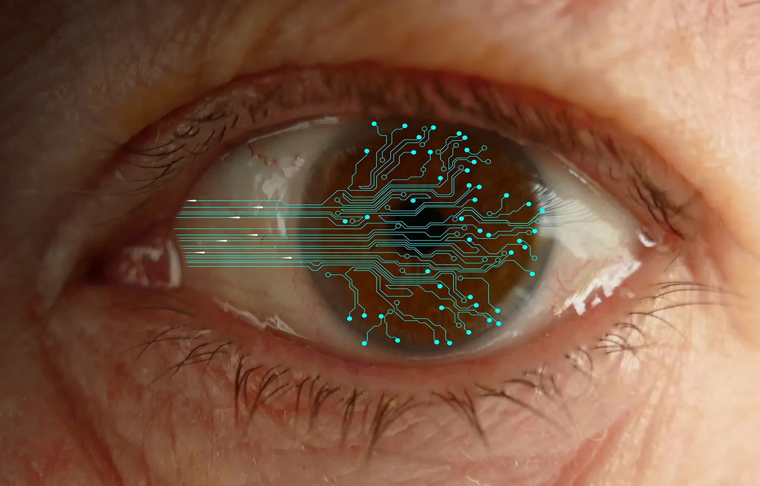 Photo - Visionary Technologies: From Artificial Sight to Smart Navigation