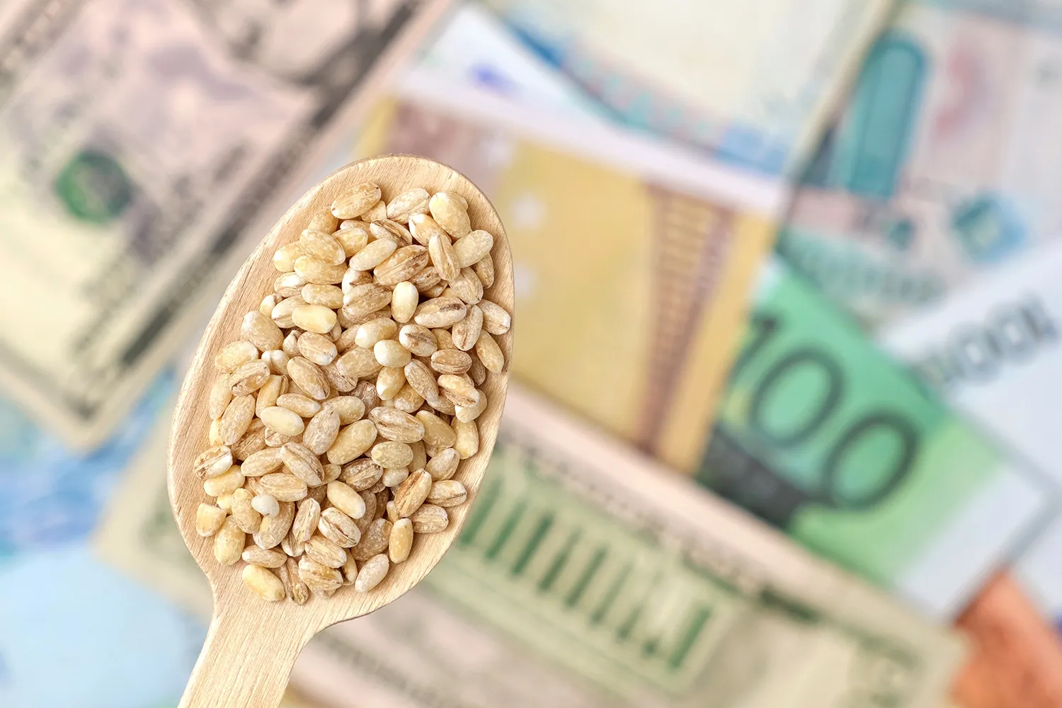 Photo - Paper Backed by Wheat: Fintech Breakthrough in Agribusiness