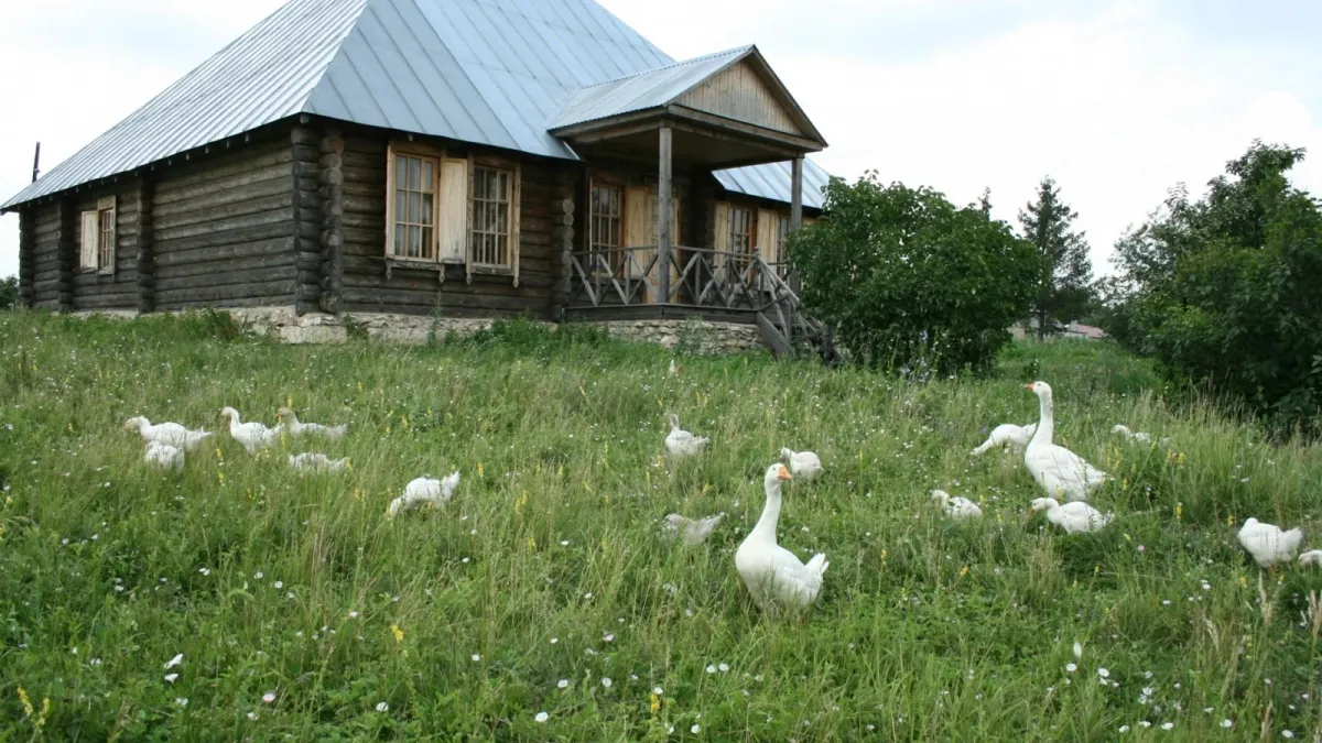 Bunin Estate in Russia’s Lipetsk Region to Get a Digital Revival