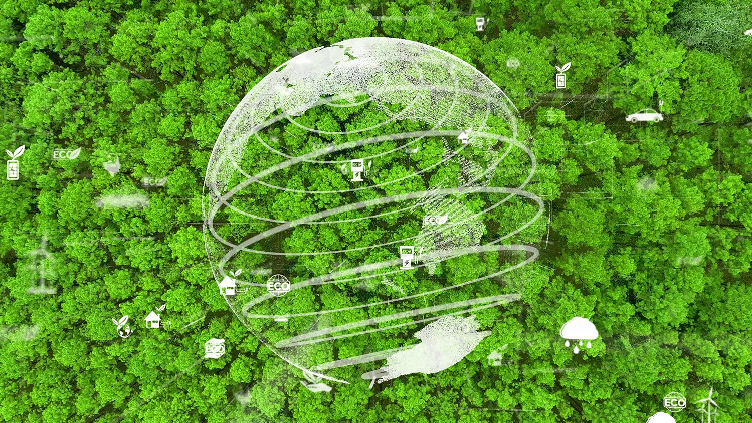 Photo - Digital Forest: Russian Technology to Transform the Future of Forestry