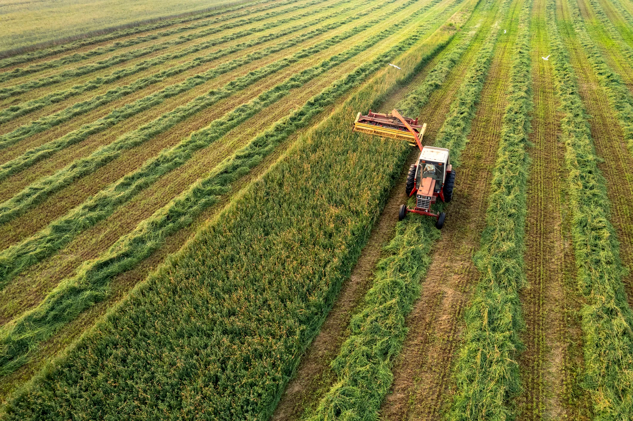 This Russian Region Is Reinventing Agriculture With AI, Drones, and Homegrown Genetics
