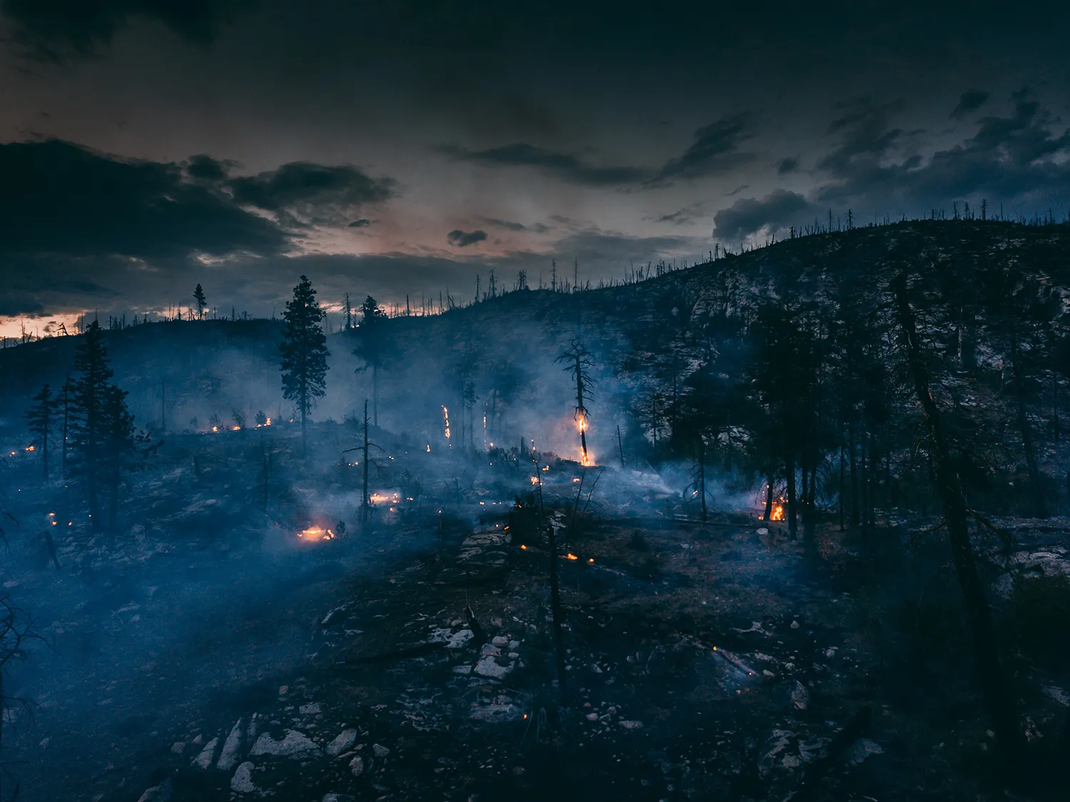 Photo - Smart Cameras and AI: Russia’s Forests Get High-Tech Wildfire Protection
