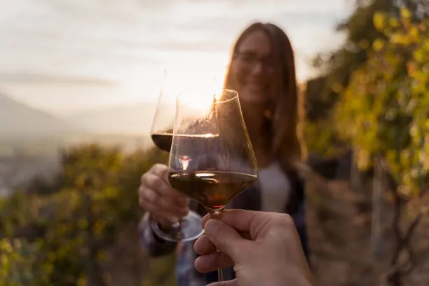 Russian Neural Network “Taster” Uses Chemical Fingerprints to Identify Wine Origins