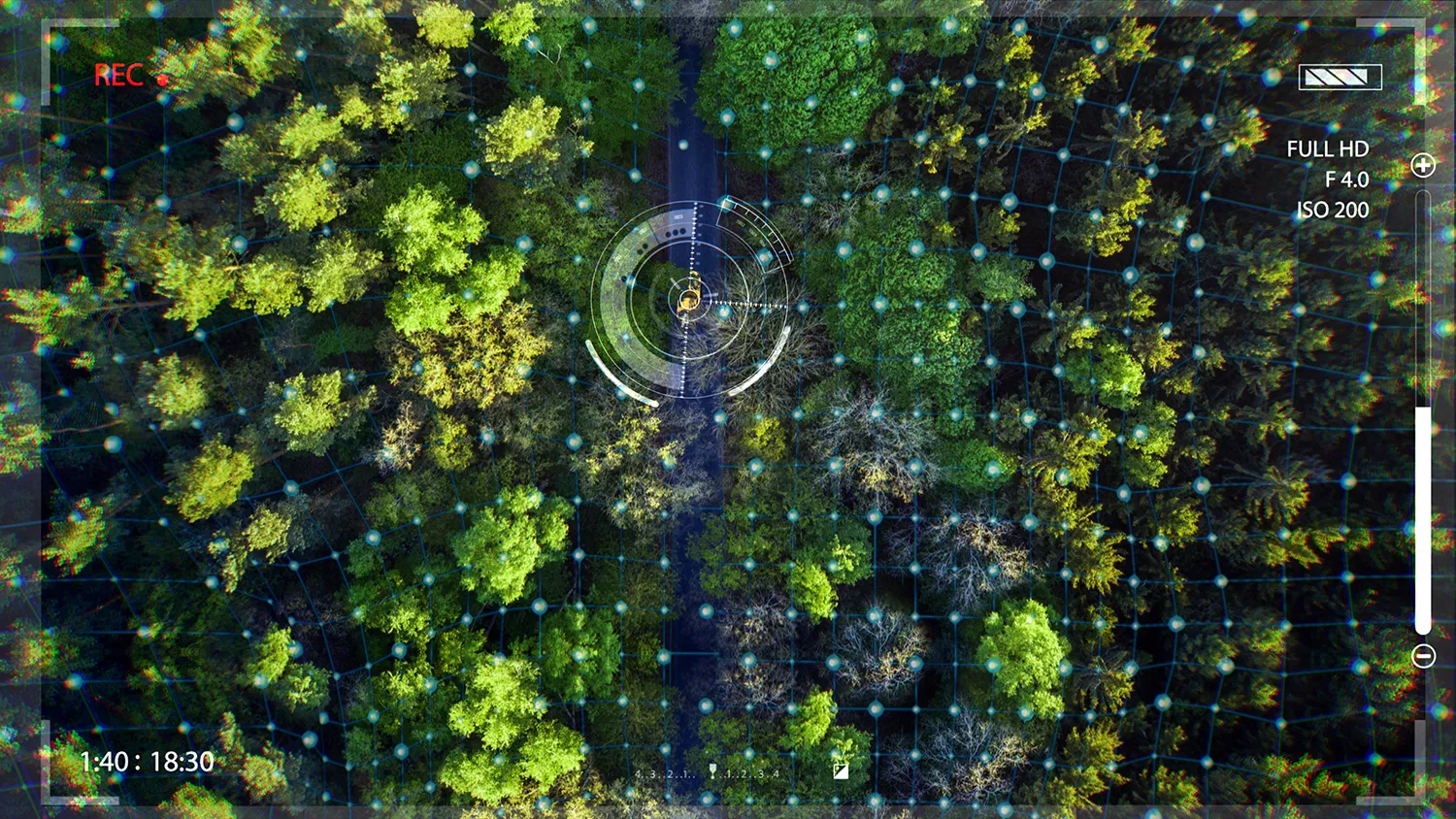 Photo - Digital Forest: AI Steps In to Protect Nizhny Novgorod’s Ecosystems